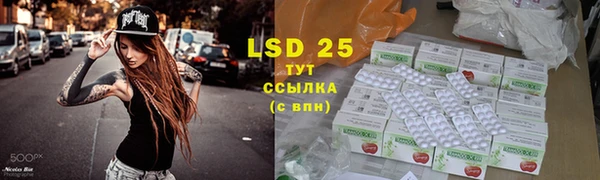 ECSTASY Инсар