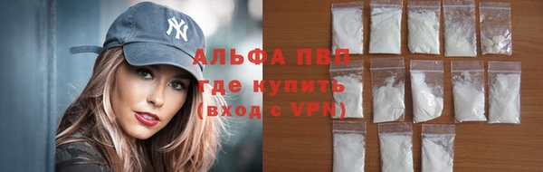 ECSTASY Инсар