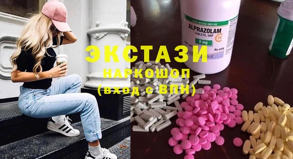 ECSTASY Инсар