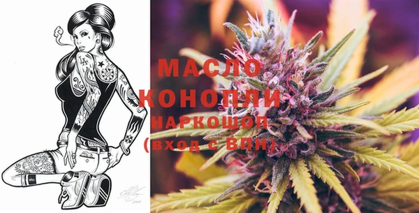 ECSTASY Инсар