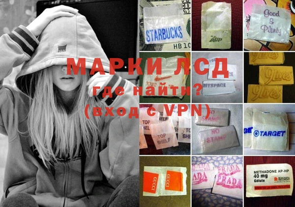 ECSTASY Инсар
