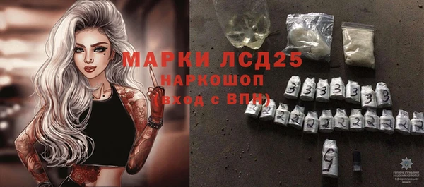 ECSTASY Инсар