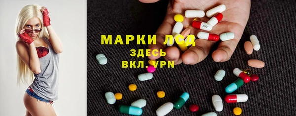 ECSTASY Инсар