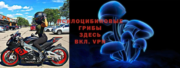 бутират Инта