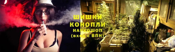 спайс Иннополис