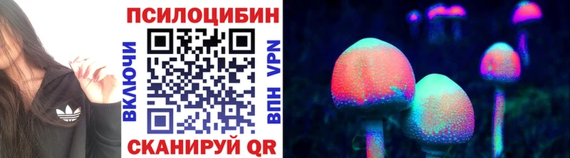 Галлюциногенные грибы Psilocybine cubensis  Купить  Медынь 