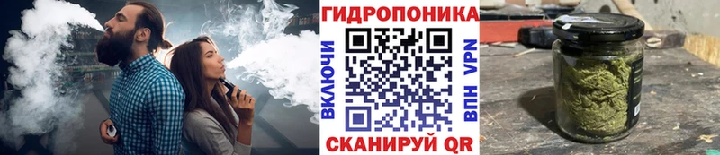 Купить где  Медынь  Конопля индика 